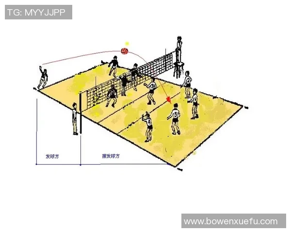 广州排球队战术解析与未来发展方向探讨